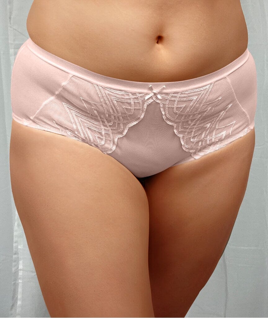 Ava & Audrey Lillian Embroidered Mesh Full Brief - Champagne Knickers