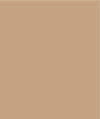 Razzamatazz Curves Sheer Value Comfort Brief -4 Pack - Black/Tan Hosiery