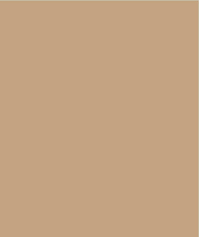 Razzamatazz Curves Sheer Value Comfort Brief -4 Pack - Black/Tan Hosiery