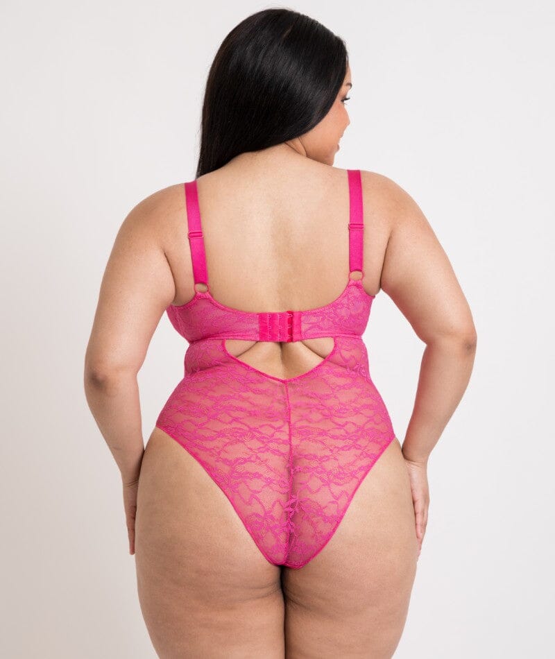 Curvy Kate All Night Lace Plunge Bodysuit - Hot Pink/Blush Bodysuits & Basques