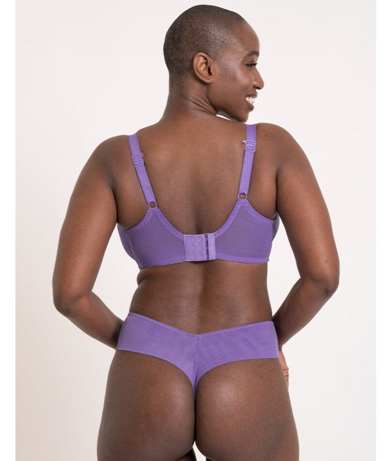 Curvy Kate Flare Deep Thong - Amethyst Purple Knickers