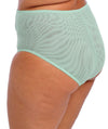 Elomi Brianna Full Brief - Frozen Knickers