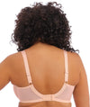 Elomi Cate Underwired Full Cup Banded Bra - Latte Bras