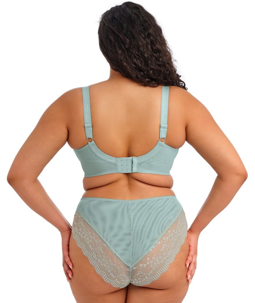 Elomi Lucie High Leg Brief - Mist