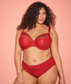 Elomi Matilda Underwired Plunge Bra - Haute Red Bras