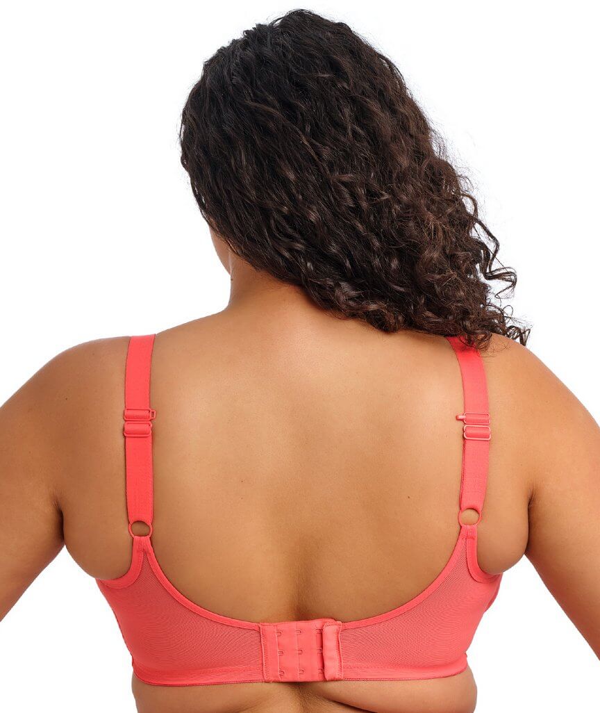 Elomi Matilda Underwired Plunge Bra - Sunset