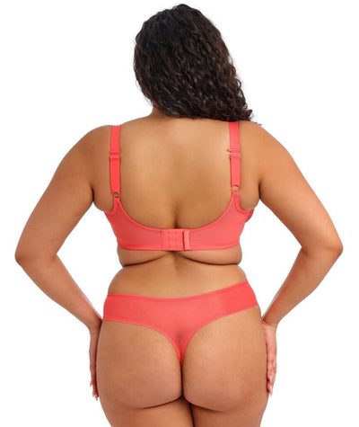 Elomi Matilda Underwired Plunge Bra - Sunset