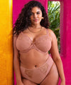 Elomi Teagan High Leg Brief - Ash Rose Knickers