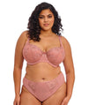 Elomi Teagan High Leg Brief - Ash Rose Knickers