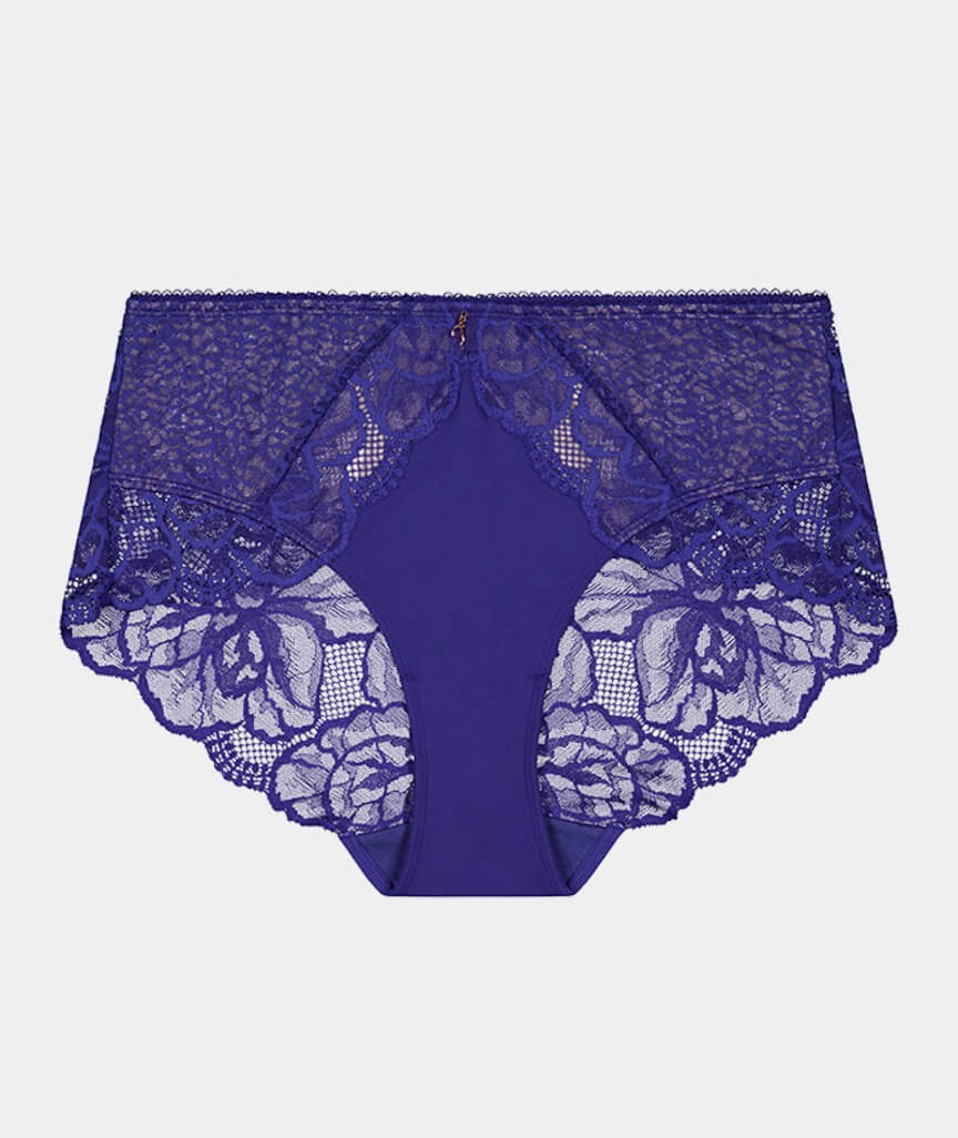 Fayreform Midnight Express Full Brief - Blue Ribbon