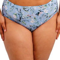 Goddess Kayla Brief - Cornflower