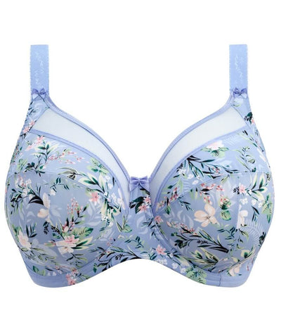 Goddess Kayla Underwired Banded Bra - Cornflower
