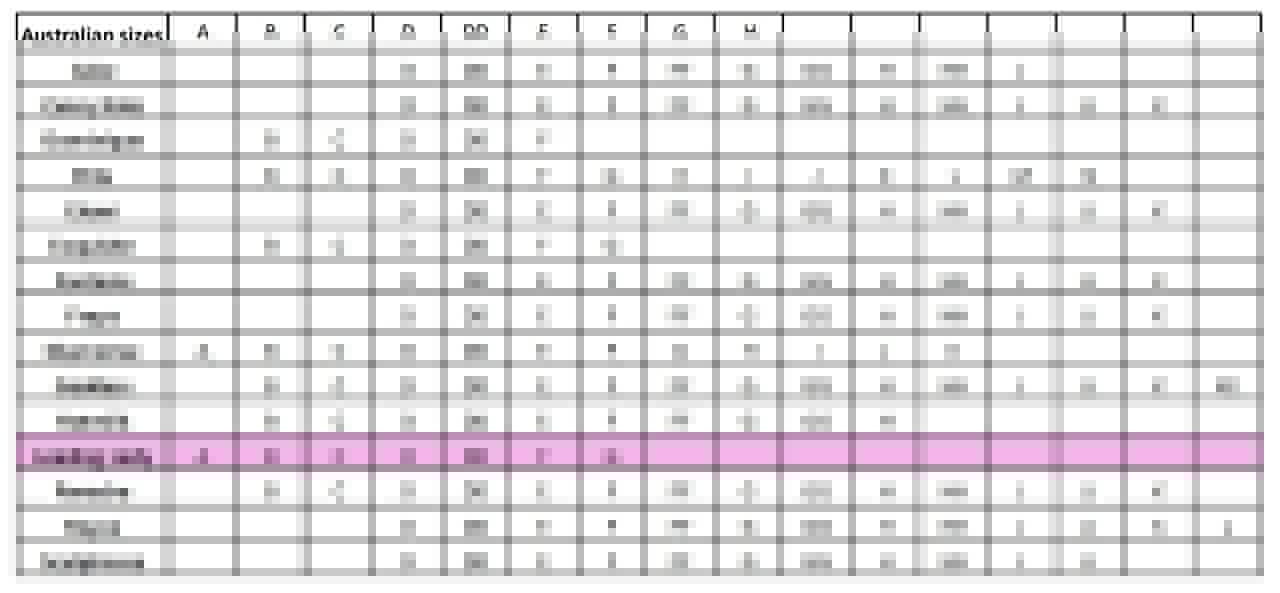 Leading Lady Lightly Padded Contour Underwired Bra - Black Bras