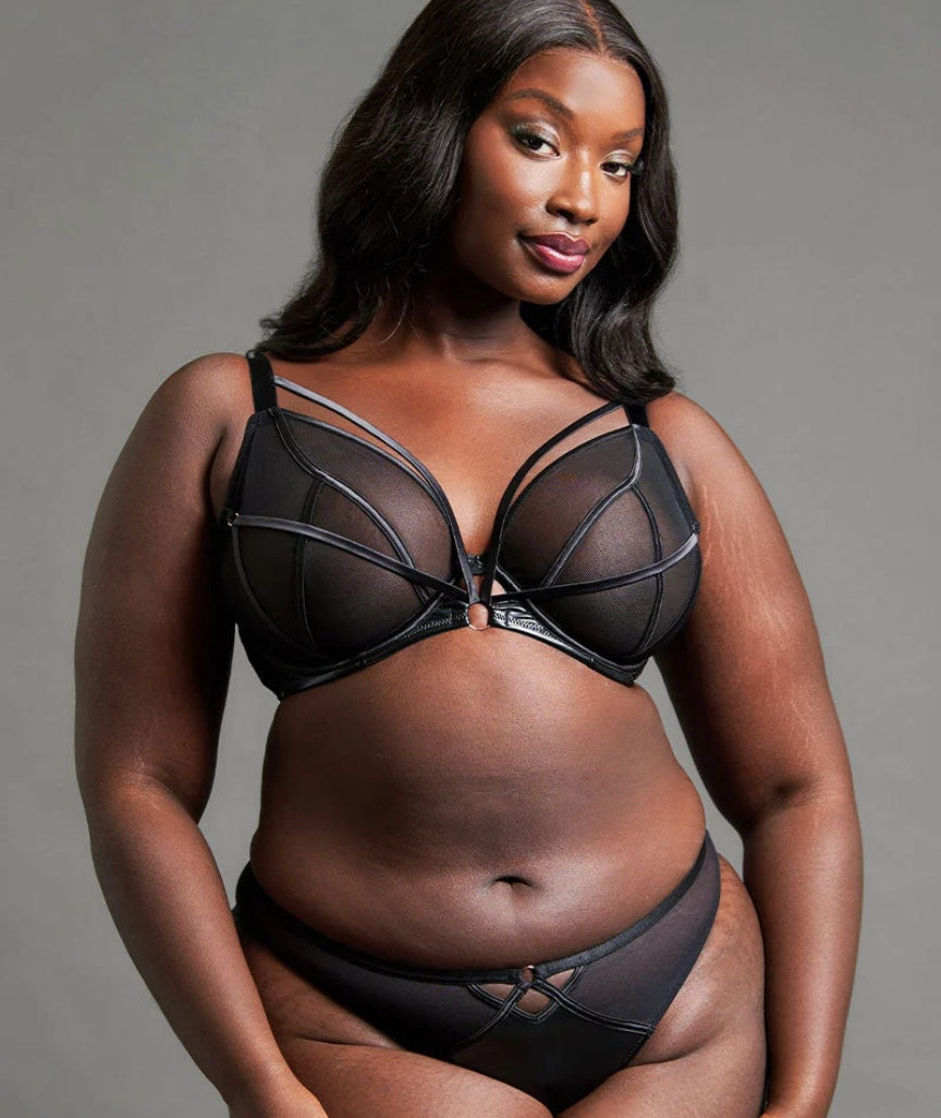 Scantilly Scandal Brazilian Brief - Black