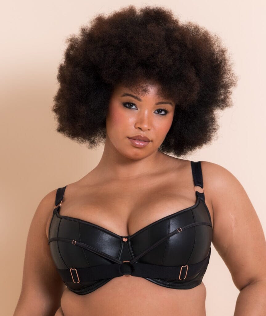 Scantilly Harnessed Padded Half Cup Bra - Black Bras 