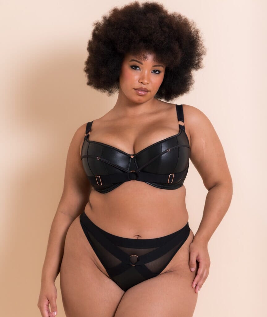Scantilly Harnessed Padded Half Cup Bra - Black Bras 