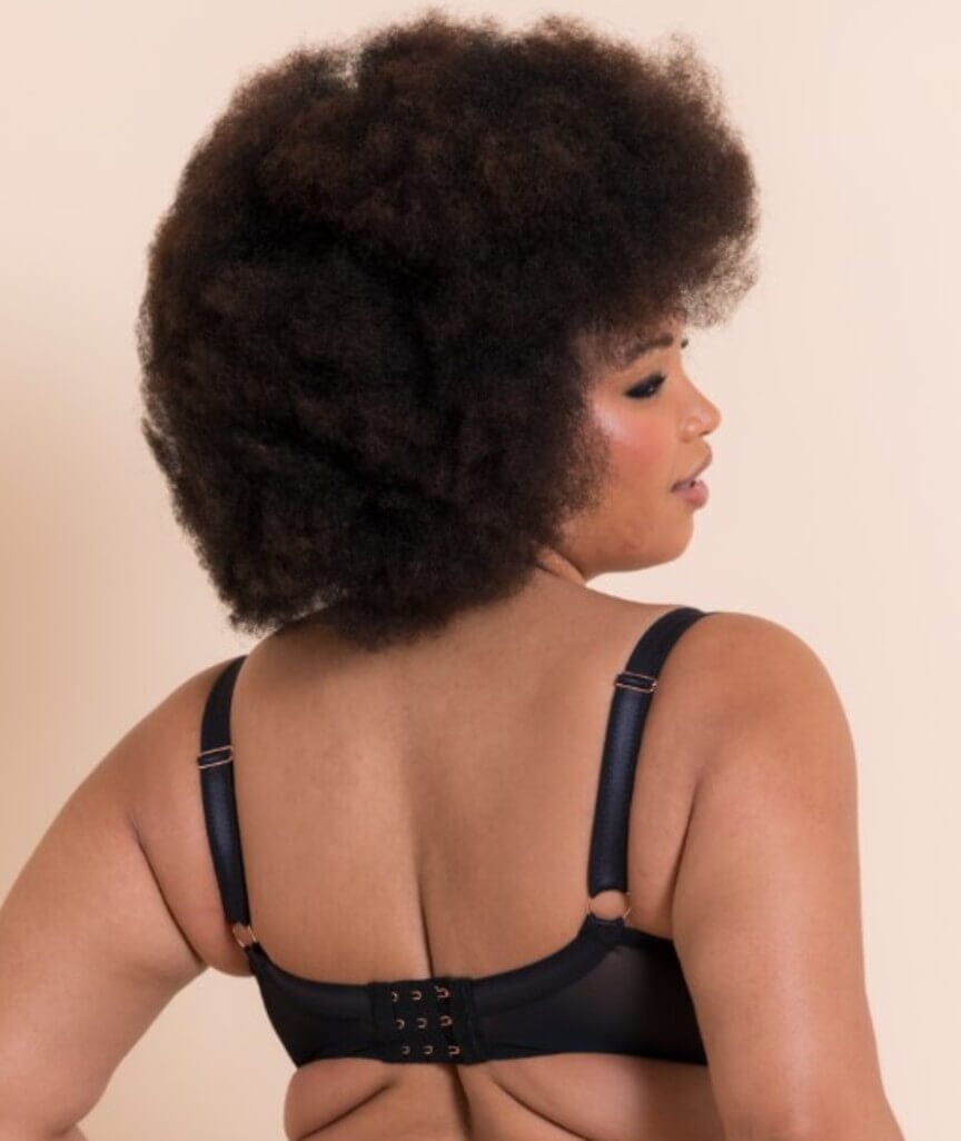 Scantilly Harnessed Padded Half Cup Bra - Black Bras 