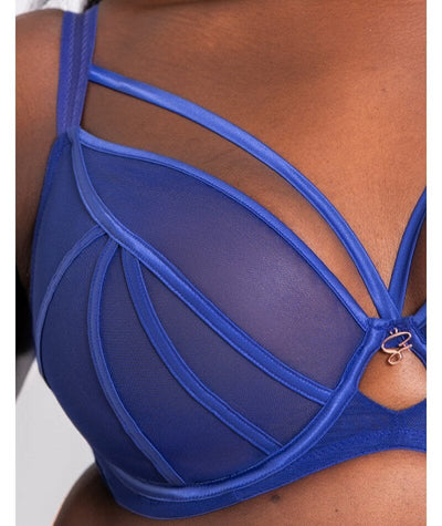 Scantilly Senses Plunge Bra - Ultraviolet Bras