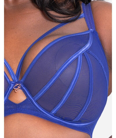 Scantilly Senses Plunge Bra - Ultraviolet Bras