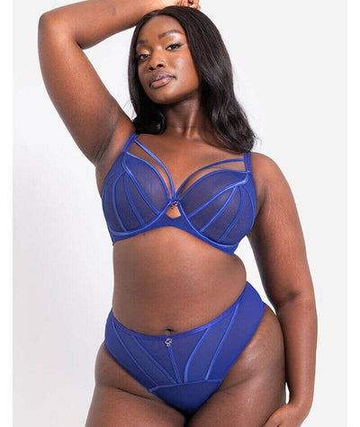 Scantilly Senses Plunge Bra - Ultraviolet Bras