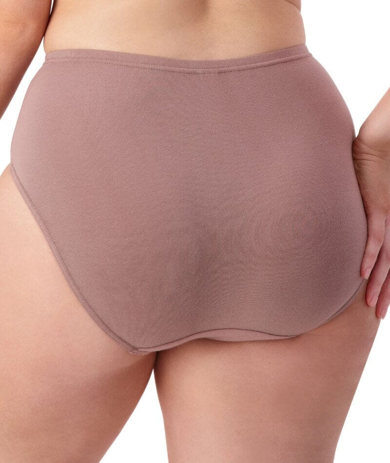 Sloggi Hikini 2 Pack Brief - Riviera/Cacao Knickers