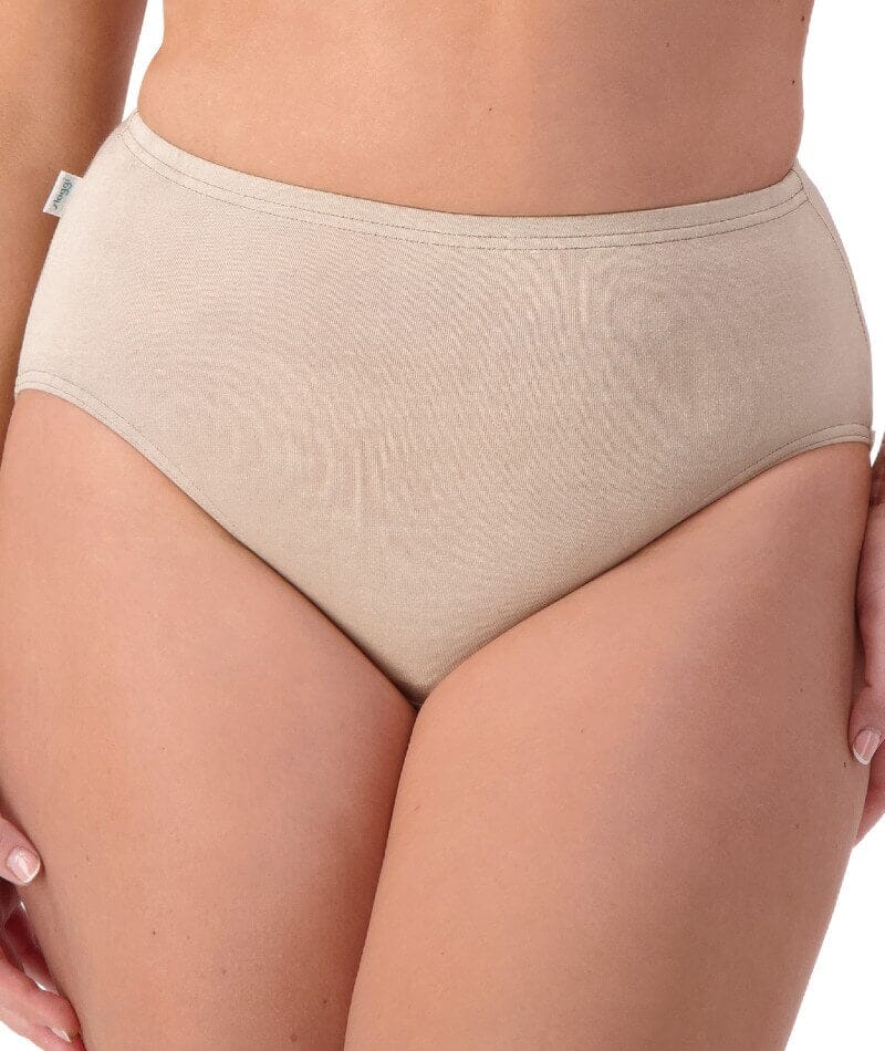 Sloggi Hikini 2 Pack Brief - Violet - Dark Combination Knickers