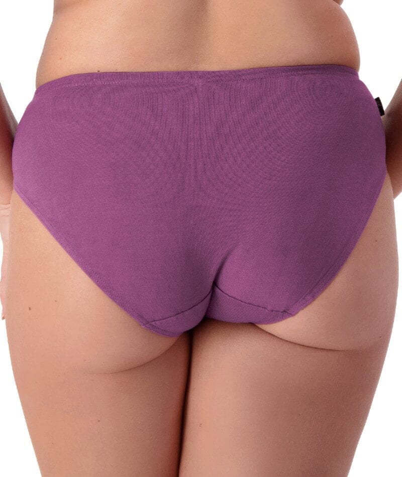 Sloggi Hikini 2 Pack Brief - Violet - Dark Combination Knickers