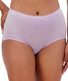 Sloggi Maxi Brief 2 Pack - Crocus/Opale Knickers