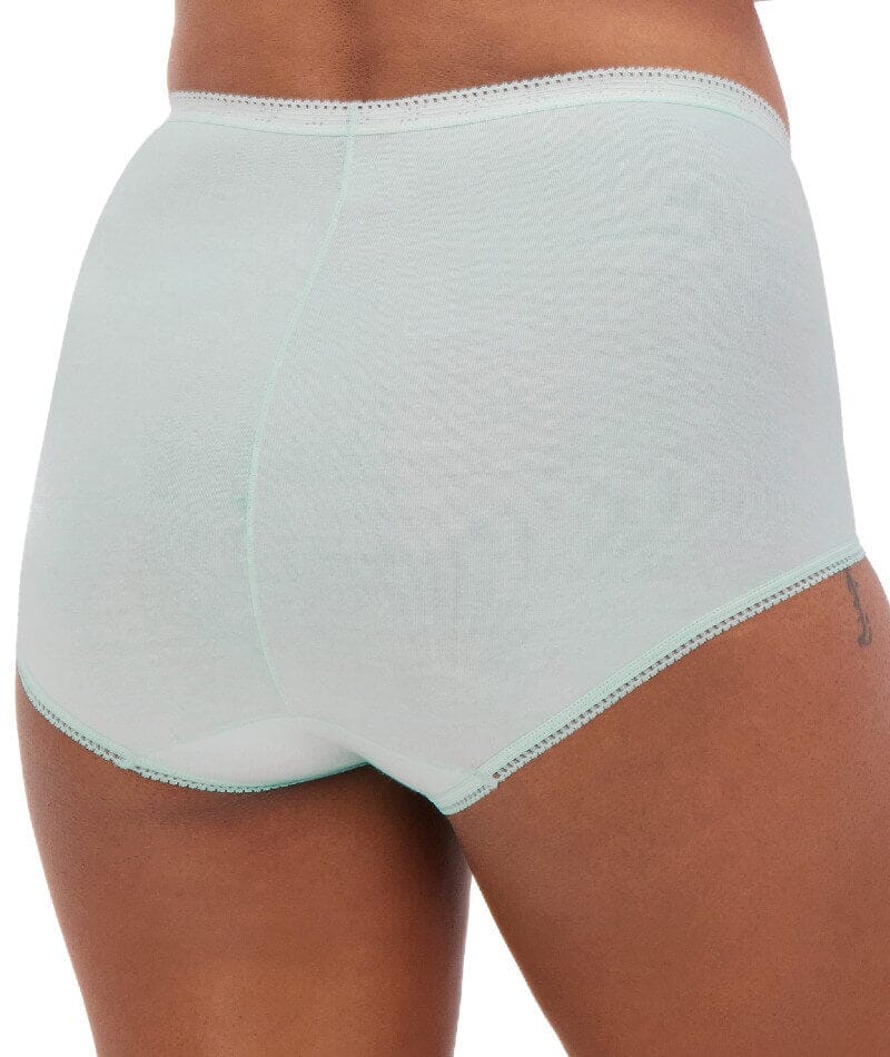 Sloggi Maxi Brief 2 Pack - Crocus/Opale Knickers