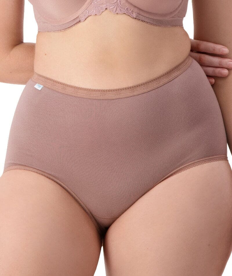 Sloggi Maxi Brief 2 Pack - Riviera/Cacao Knickers