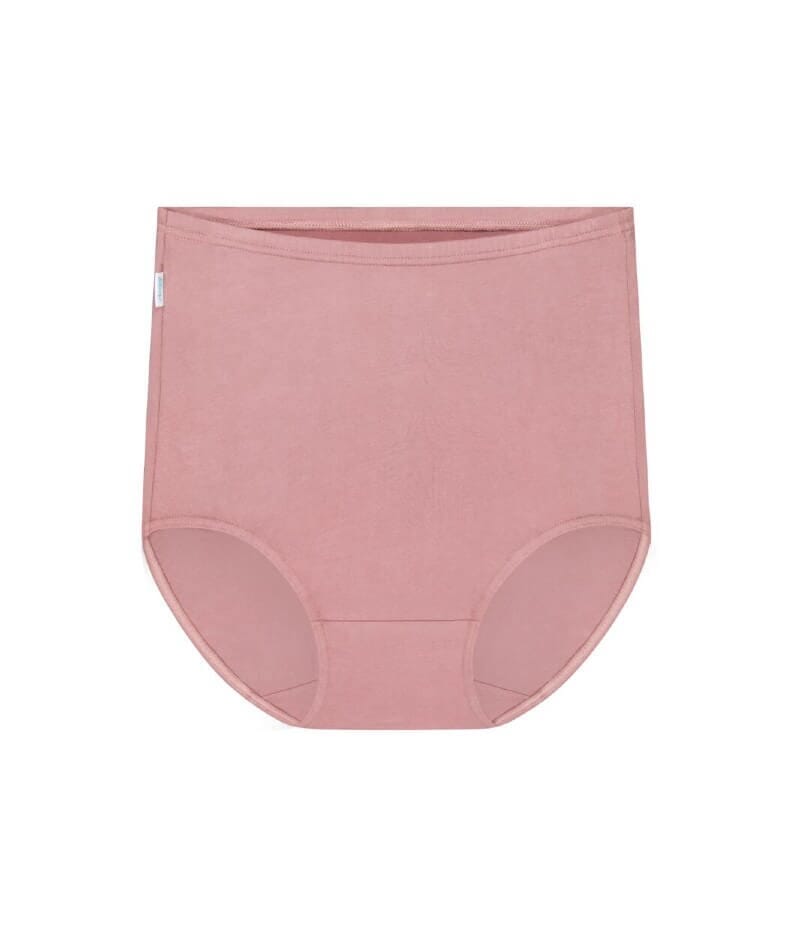 Sloggi Maxi Brief 2 Pack - Rose/Rosebloom Knickers