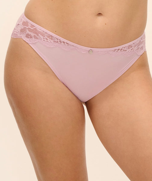 Brands - Curvy Bras