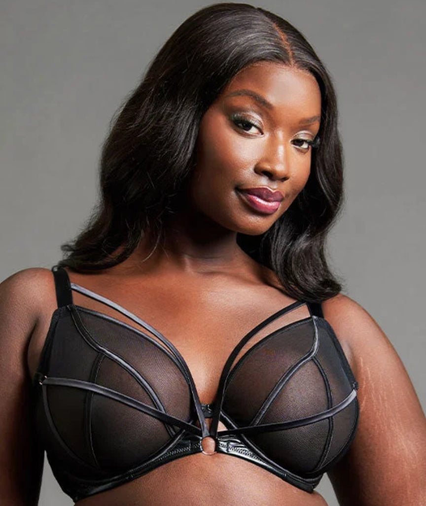 Scantilly Scandal Plunge Bra - Black