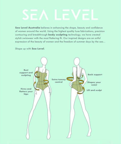 Sea Level Essentials Spliced B-DD Cup One Piece Swimsuit - Black Swim