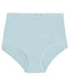 Bendon Freedom Maxi Brief - Aquamarine Knickers