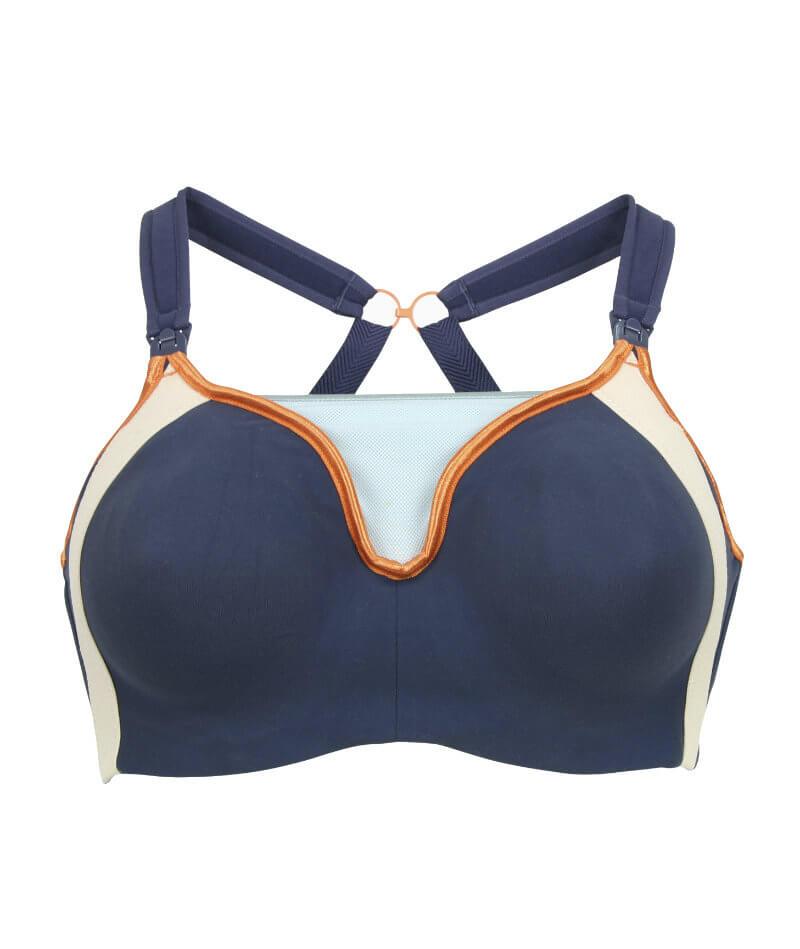 Queen Bee - Harlow Maternity Sports Bra