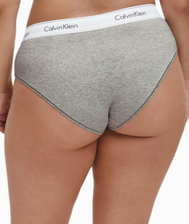 Calvin Klein Modern Cotton Plus Hipster Brief - Grey Heather - Curvy Bras