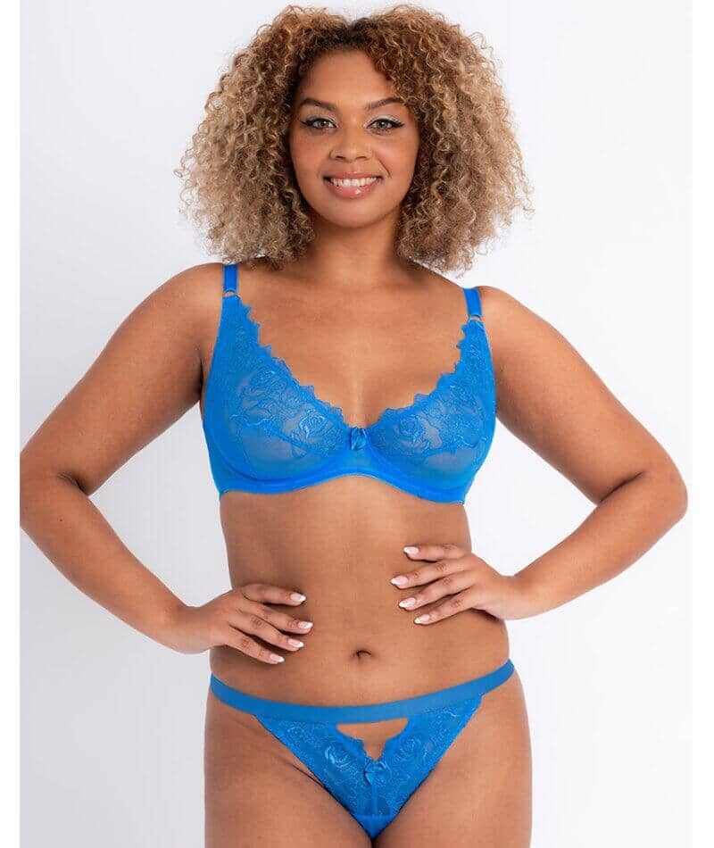 Curvy Kate Stand Out Thong - Electric Blue - Curvy Bras