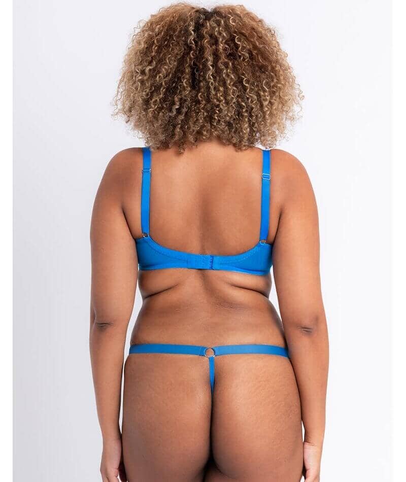 Curvy Kate Stand Out Thong - Electric Blue - Curvy Bras