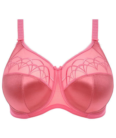 Elomi Cate Underwired Full Cup Banded Bra - Desert Rose - Curvy Bras