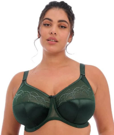 Elomi Cate Underwired Full Cup Banded Bra - Pinegrove - Curvy Bras