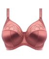 Elomi Cate Underwired Full Cup Banded Bra - Rosewood Bras
