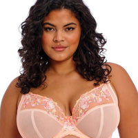 Elomi Himari Underwired Plunge Bra - Peach Whisper