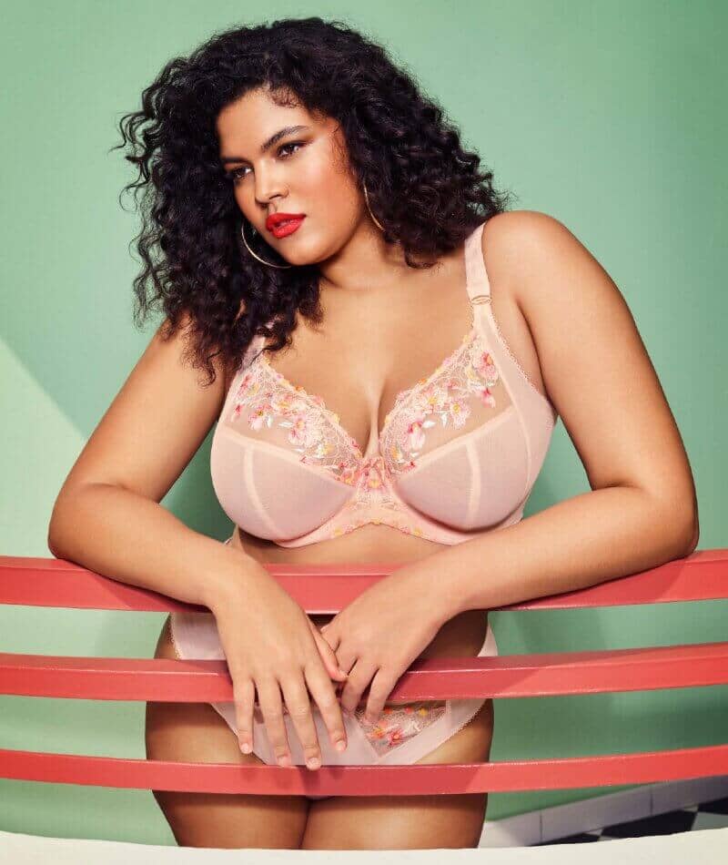 Elomi Himari High Leg Brief - Peach Whisper Knickers