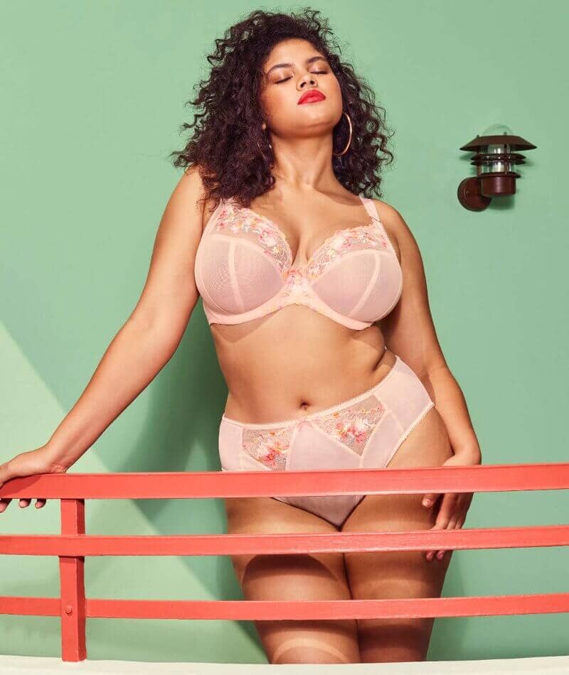 Elomi Himari High Leg Brief - Peach Whisper Knickers