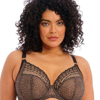 Elomi Matilda Convertible Plunge Bra, Cafe Au Lait – My Top Drawer