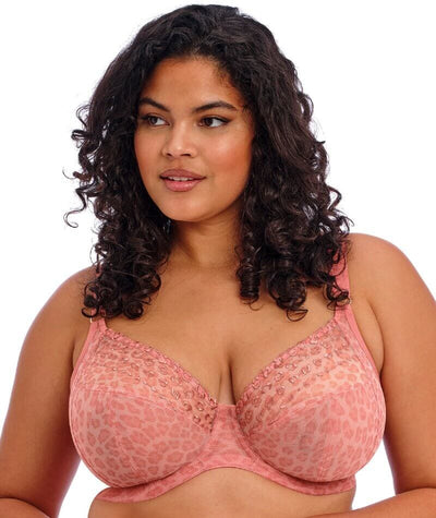 Elomi Matilda Underwired Plunge Bra - Rose Leo Bras