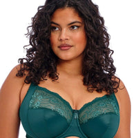 Elomi - Morgan (solid) EL4111 - Basic - The Bra Spa - Bra Fitting