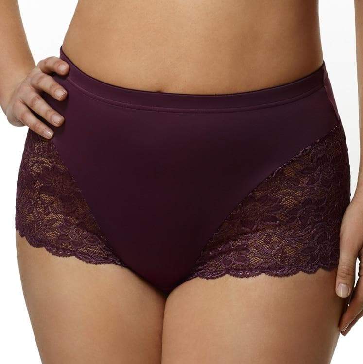 Elila Cheeky Stretch Lace Brief - Plum Knickers 