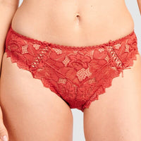 Sans Complexe Arum Microfiber and Lace Hipster Brief - Jester Red